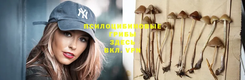 Галлюциногенные грибы Magic Shrooms  закладка  Волосово 